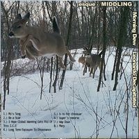 Morning Dew - Split