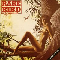 Rare Bird - Sympathy