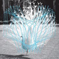 Valerio Tricoli & Thomas Ankersmit - Forma II