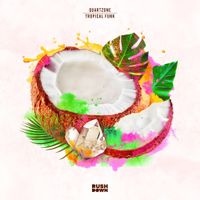 Quartzone - tropical funk