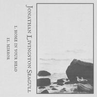 Jonathan Livingston Seagull - Single