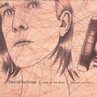 David Sylvian - Died in the Wool &ndash; Manafon Variations