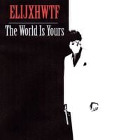 elijxhwtf - the world is yours