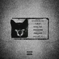 klwn cat - PRELUDE