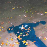 Levin Liam - neue ufer