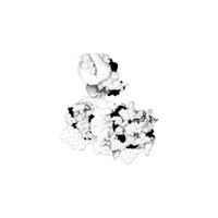 Anna Webber & Matt Mitchell - Capacious Aeration