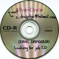 Sonic Dragolgo - Looking For Job