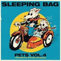 Sleeping Bag - Pets 4: Obedience School Dropout