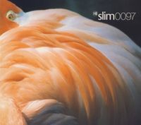 Slim &lrm; - Slim 0097