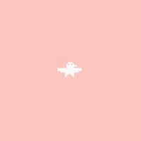 Park Bird - Are You Lost