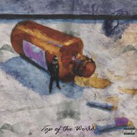 Kauai Shawty - Top of the World