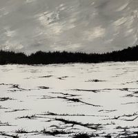 Tjaktjad&aacute;lvve - Echoes on a Windswept Plain