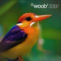 Woob - Woob&sup3; 3397