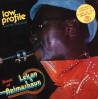 Lekan Animashaun - Low Profile (Not for the Blacks)