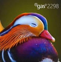 Gas - Gas&sup2; 2298