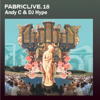 Andy C & DJ Hype - FabricLive. 18