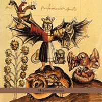 Bester Quartet - Metamorphoses