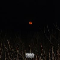 Theo Bleak - Pain