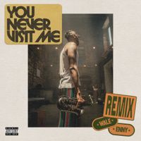 Masego - You Never Visit Me (Remix)