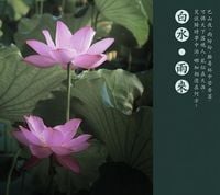白水 [Bai Shui] - 雨来 [The Rain Is Imminent]