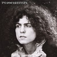 T. Rex - A Beard of Stars
