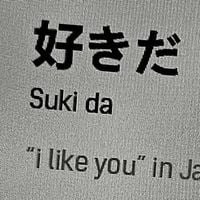 C:/18hzr/breakcore - Suki da / 幻想を壊す / animecore, breakcore
