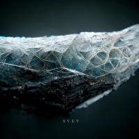Pjusk & Arovane - Svev
