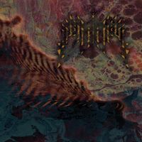 Fanisk - Insularum
