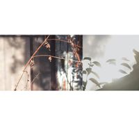 Rhucle - Feel