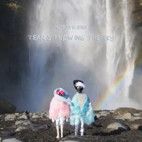 N&ouml;rdfriend - Tears Flowing The Sky