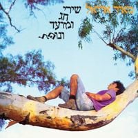 מאיר אריאל [Meir Ariel] - שירי חג ומועד ונופל