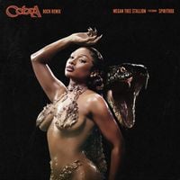 Megan Thee Stallion - Cobra (Rock Remix)