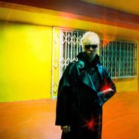 Panther Modern - Deluxe