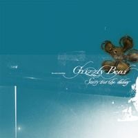 Grizzly Bear - Sorry for the Delay (The Early Recordings)