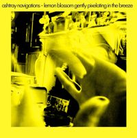 Ashtray Navigations - Lemon Blossom Gently Pixelating In The Breeze