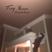 Tiny Voices - Airports/Reaper