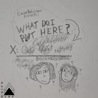 CasioRobinson - What Do I Put Here?