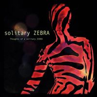 Solitary ZEBRA - Thoughts of a solitary ZEBRA