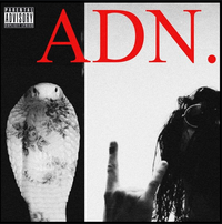 Ian - ADN
