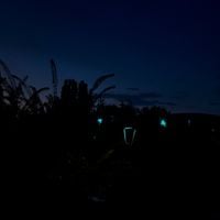 ReMark - Unwell