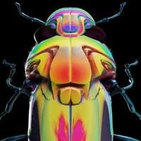 GRRL - Honeybee