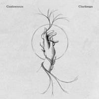 Clariloops - Coalescence