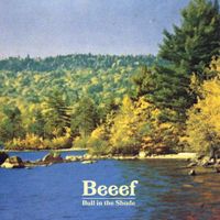 Beeef - Bull in the Shade