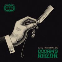 딥플로우 [Deepflow] - Occam's Razor