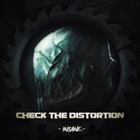 Check The Distortion - Insane