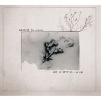 Sketches For Albinos - Days Of Being Wild And Kind