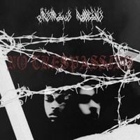 Robb Bank$ & Chris Travis - No Trespassing