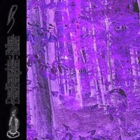 DeadSeraphin - Fallen