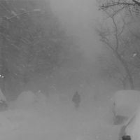 Cashmere Cat - Love Incredible