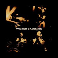 Wilted Cabbage - Live at the Birdroom